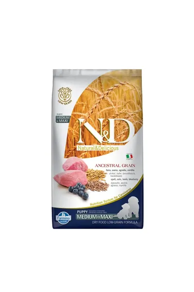 N&D Düşük Tahıllı Kuzu Etli Yaban Mersinli 2.5 Kg Medium Maxi Yavru Kuru Köpek Maması