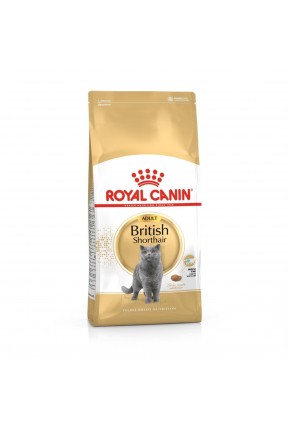 Royal Canin British Shorthair 2 Kg Yetişkin Kuru Kedi Maması